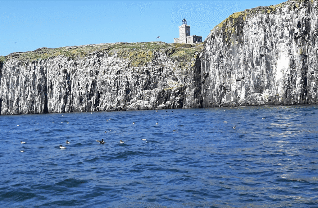 Isle of May \'DOORS OPEN\' Landing Tour