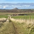 East Linton Circular Walk